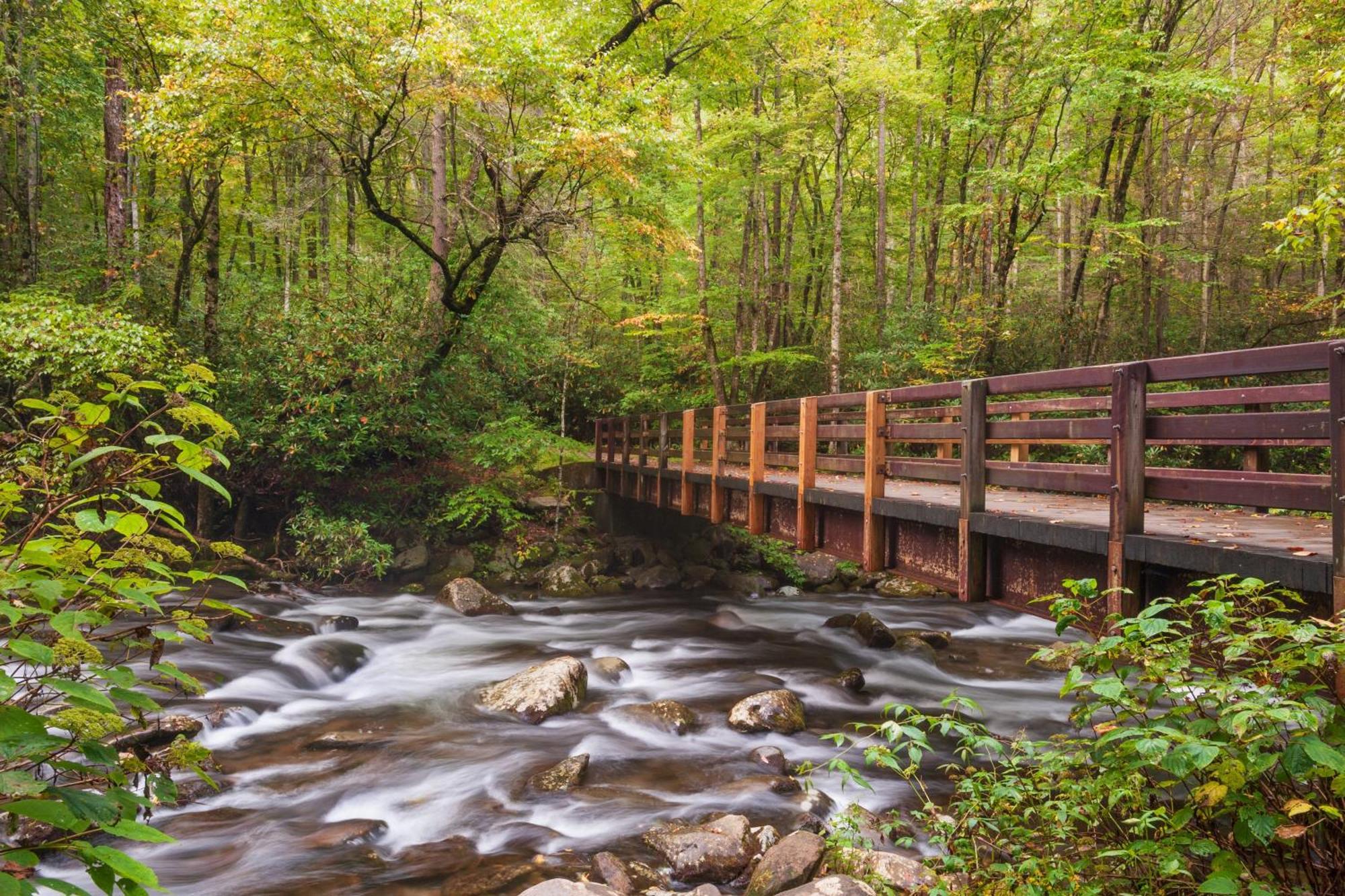 Bridgewood Cabin, Hot Tub, 1089 Of Free Attraction Tickets For Each Paid Day, Dollywood And More! Pigeon Forge Exteriör bild
